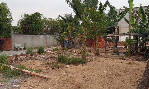 Cần bán gấp lô đất mặt tiền đường Nguyễn Thị Rõ, Ấp Mũi Lớn 1, Tân An Hội 105m2 full thổ cư, SHR