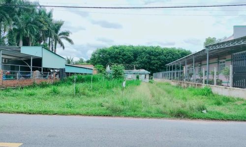 Hot Deal cần bán lô đất mặt tiền đường Bàu Giã, Tân Phú Trung, 113m² full thổ cư