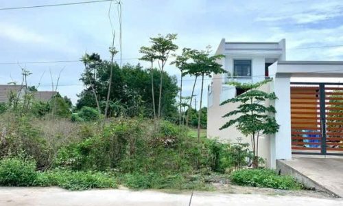 Chồng đi theo tiếng gọi của con tim Cần bán lô đất mặt tiền đường Lê Thị Dệt, xã Tân An Hội,124M2