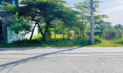 Con trai muốn lấy vợ cần bán lô đất mặt tiền đường số 9, Tân Thông Hội, 125m2 full thổ cư