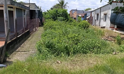 Cần bán gấp lô đất mặt tiền đường Nguyễn Thị Chiên, Tân An Hội, 142m2 full thổ cư