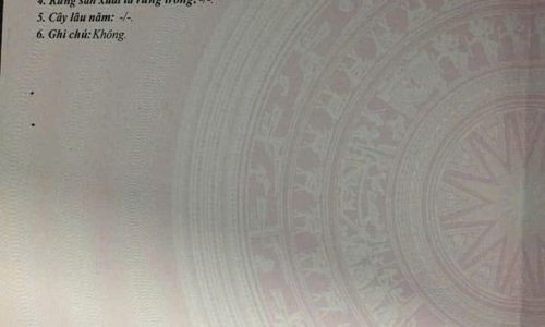 Cần bán gấp lô đất mặt tiền đường Nguyễn Văn Khạ, Tân An Hội, 162m2 full thổ cư