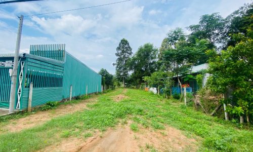 💢GIẢM GIÁ MẠNH !! BÁN NGAY LÔ ĐẤT MT ĐƯỜNG 213M2 PHƯỚC HIỆP, SHR 520TR