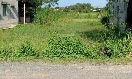 ❗❗ SIÊU PHẨM – BÁN NGAY LÔ ĐẤT GIÁ RẺ MT ĐƯỜNG NHỰA 387M2 PHƯỚC HIỆP, SHR 585TR