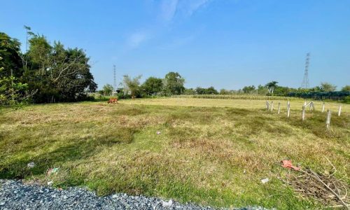 CHỦ GỬI BÁN LÔ ĐẤT ĐẸP GIÁ RẺ MT ĐƯỜNG 177M2 PHƯỚC THẠNH, SHR GIÁ 495TR