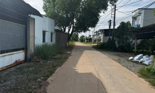 Siêu Hot cần bán lô đất thổ vườn mặt tiền đường D5, Tân Phú trung, 240m2 có 100m thổ cư