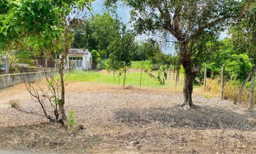 Cần bán lô đất thổ vườn mặt tiền đường Tỉnh lộ 7, Thái Mỹ, 306m2có 200m2 thổ cư, SHR