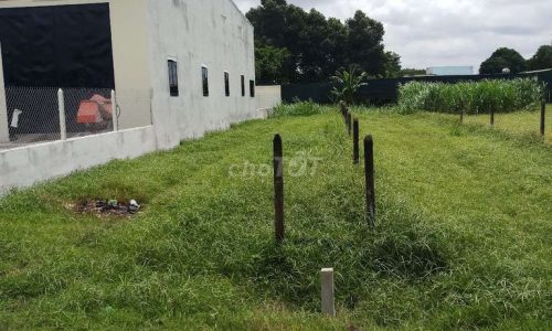 CHỦ NGỘP !! BÁN GẤP LÔ ĐẤT MT ĐƯỜNG 306M2 THÁI MỸ, SHR GIÁ 530TR