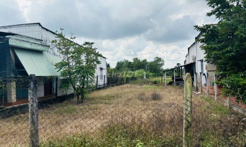 🆘CHỦ NGỘP !! BÁN NGAY LÔ ĐẤT MT ĐƯỜNG 232M2 TÂN THẠNH ĐÔNG, SHR GIÁ 495TR