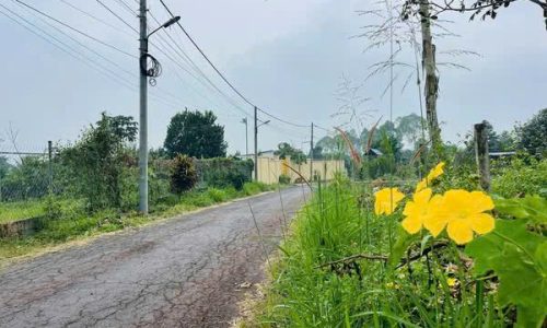 Chồng đi theo gái cần bán lô đất mặt tiền đường Tỉnh lộ 2, xã Trung Lập Thượng, Củ Chi, 84,3m² full thổ cư