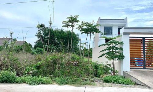 OMG💥GIÁ SIÊU TỐT – LÔ ĐẤT ĐẸP MT ĐƯỜNG 130M2 PHƯỚC THẠNH, SHR GIÁ 355TR