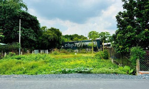 BÁN GẤP LÔ ĐẤT ĐẸP GIÁ NGỘP MT ĐƯỜNG NHỰA 378M2 PHƯỚC HIỆP, SHR GIÁ 565TR