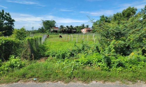 GIÁ NGỘP !! BÁN GẤP LÔ ĐẤT ĐẸP MT ĐƯỜNG 179M2 TÂN PHÚ TRUNG, SHR GIÁ 430TR