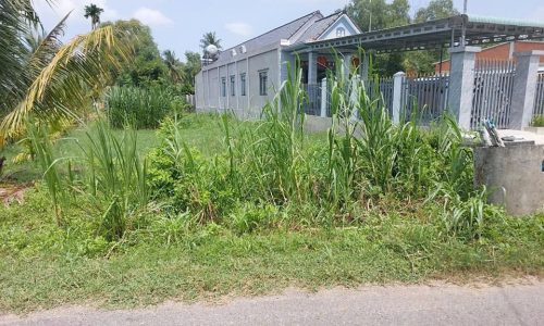 NẮM CHỦ CẦN BÁN GẤP LÔ ĐẤT GIÁ RẺ MT ĐƯỜNG 159M2, TT CỦ CHI, SHR GIÁ 375TR