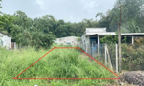 🆘GIÁ NGỘP !! BÁN NGAY LÔ ĐẤT MT ĐƯỜNG 118M2 TÂN THẠNH ĐÔNG, SHR GIÁ 360TR