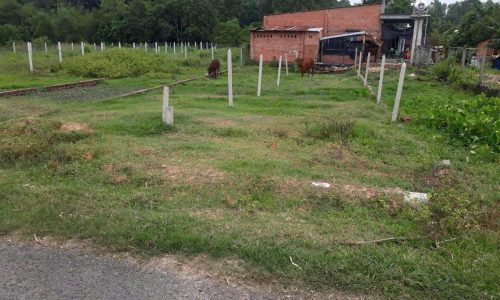 SIÊU HOT !! CHỦ NGỘP – BÁN GẤP LÔ ĐẤT MT ĐƯỜNG 128M2 THÁI MỸ, SHR GIÁ 420TR