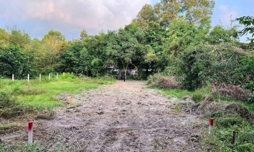 🔥SIÊU ƯU ĐÃI !! BÁN NGAY LÔ ĐẤT ĐẸP MT ĐƯỜNG 188M2 THÁI MỸ, SHR GIÁ 485TR