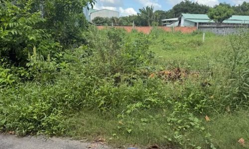 chủ gửi bán gấp lô đất mặt tiền đường đường Trần Văn Chẩm, Tân Thông Hội, 181m2, 700triệu, shr